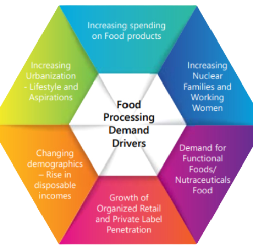 foodprocessing-removebg-preview